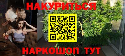 альфа пвп Заводоуковск