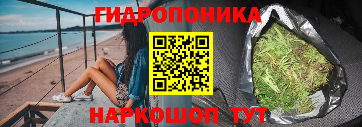 Бошки Шишки план Назрань