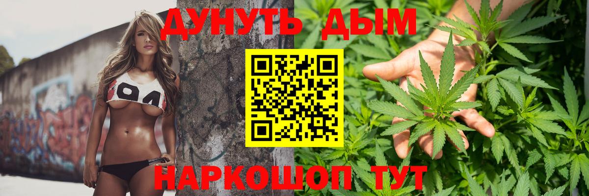 Шишки марихуана марихуана  Бошки Шишки гибрид  Назрань  Вход с VPN  Шишки марихуана планчик 
